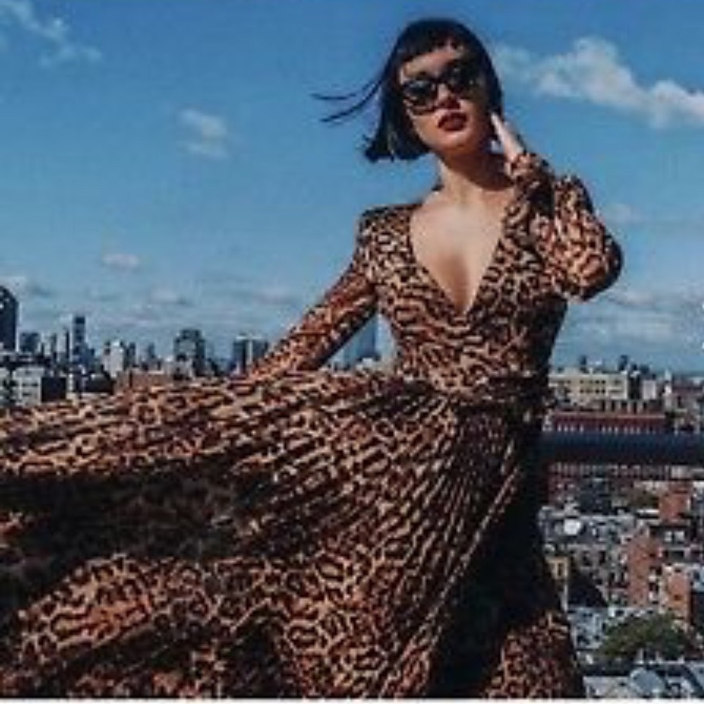 H&M leopard wrap pleated dress sz 4